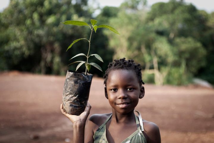 Green Cub Initiative (2)