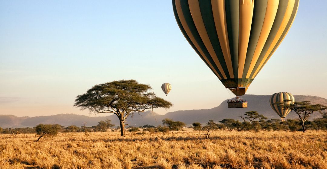 africawildwhispers